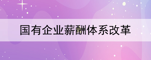 國(guó)有企業(yè)薪酬體系改革