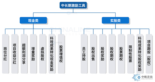 中長(zhǎng)期激勵(lì)工具類(lèi)型